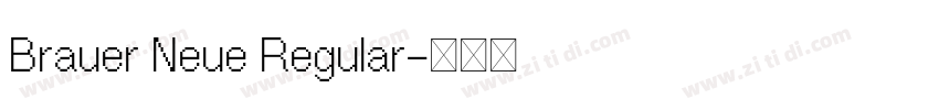 Brauer Neue Regular字体转换 Brauer Neue Regular字体转换